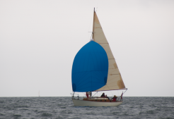 blackrock2010 60